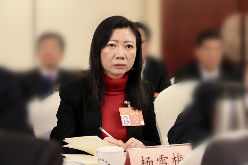 杨雪梅代表：让更多河南学子在家门口上好大学