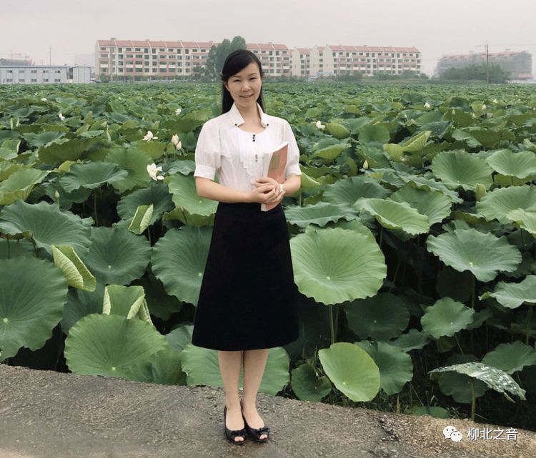 柳北区13位教师入选广西首批中小学学科中心组，快看看有你的老师吗？